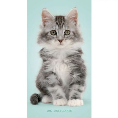 Kittens 2027 2 Year Pocket Planner