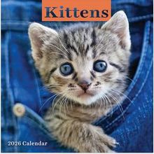 Kittens 2026 Calendar