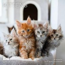 Kittens 2026 Calendar