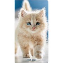 2025-2026 Cuddly Kittens Pocket Planner