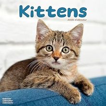 Kittens 2026 Calendar