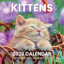 Kittens 2026 Calendar