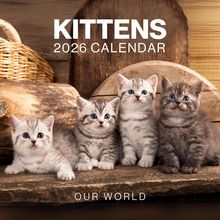 Kittens 2026 Calendar