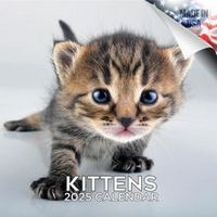Kittens 2026 Calendar