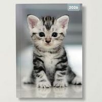 2026 Cute Kittens Weekly Planner