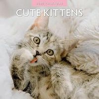 2026 Cute Kittens Wall Calendar