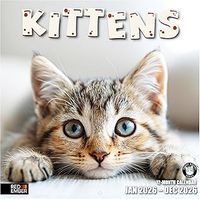 2026 Kittens Wall Calendar