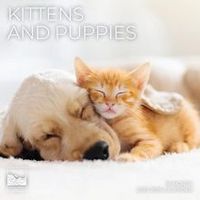 Kittens and Puppies 2026 Calendar