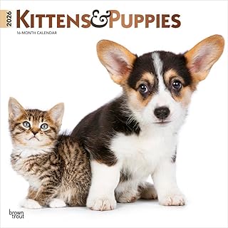 Kittens and Puppies 2026 Calendar