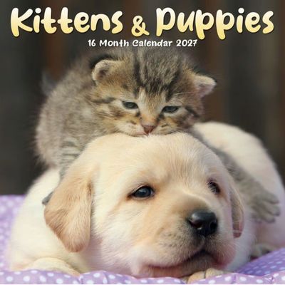 Kittens and Puppies 2027 Mini Wall Calendar