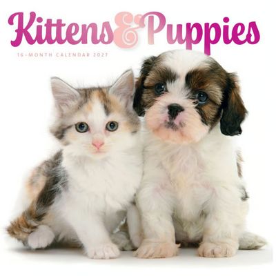 Kittens and Puppies 2027 Wall Calendar