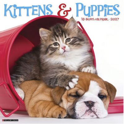 Kittens and Puppies 2027 Wall Calendar