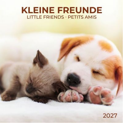 Little Friends 2027 Wall Calendar