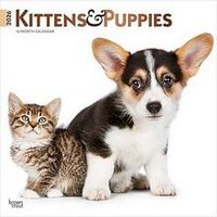 Kittens and Puppies 2026 Calendar