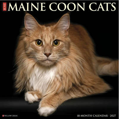 Maine Coon Cats 2027 Wall Calendar