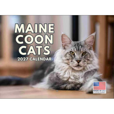 Maine Coon Cats 2027 Wall Calendar