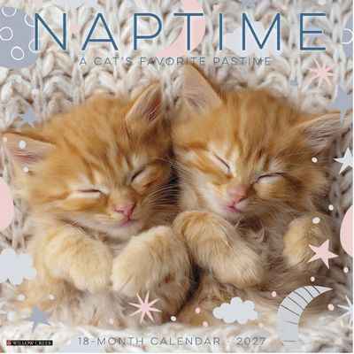 Naptime Cats 2027 Wall Calendar