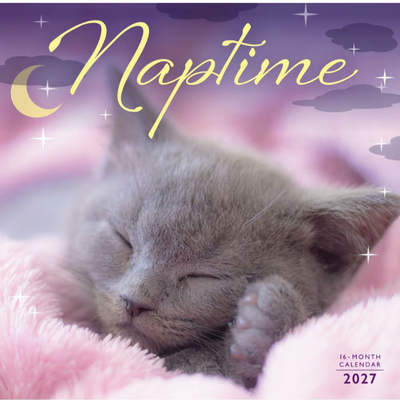 Naptime 2027 Wall Calendar