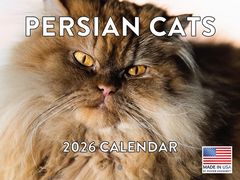 Persians Cats 2026 Calendar