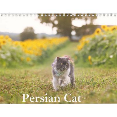 Persians Cats 2027 Wall Calendar