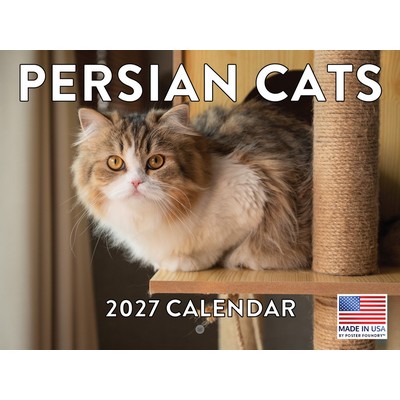 Persians Cats 2027 Wall Calendar