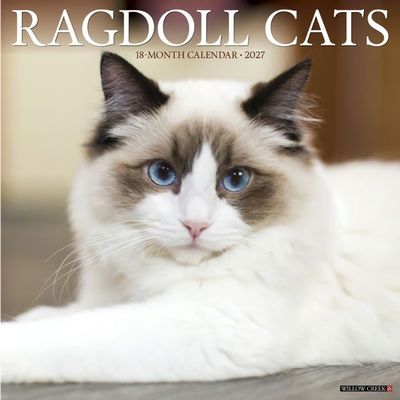 Ragdoll Cats 2027 Wall  Calendar