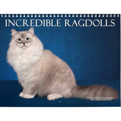 Ragdoll Cats 2027 Wall Calendar