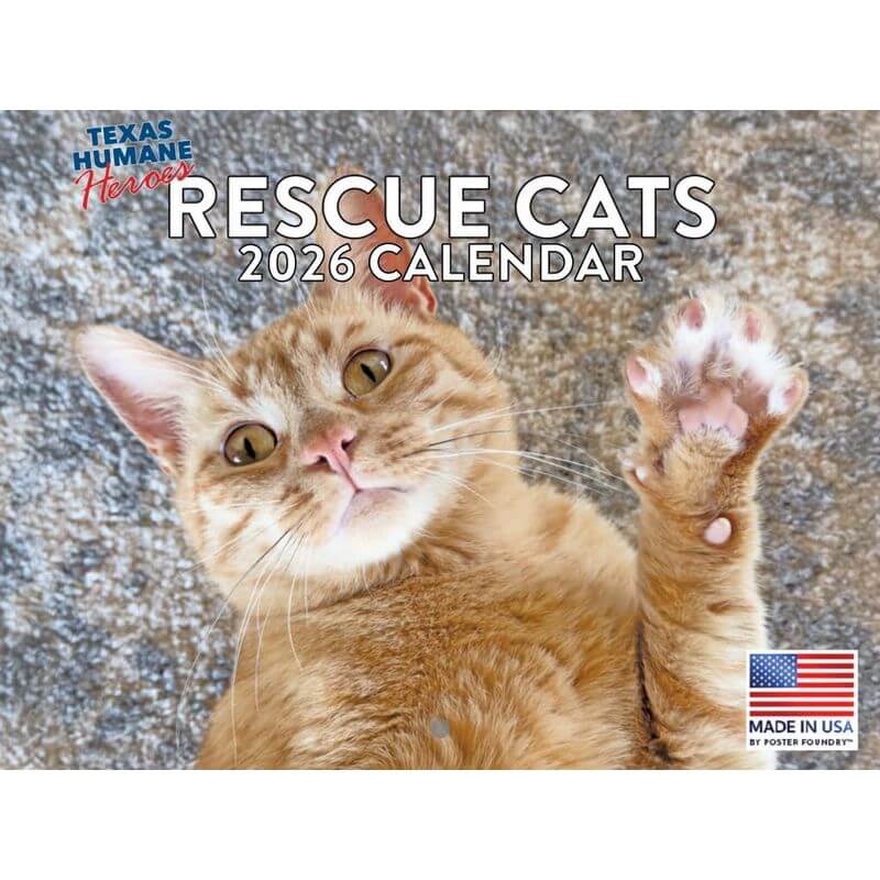 Rescue Cats 2026 Calendar