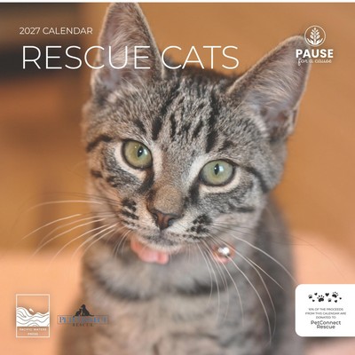 Rescue Cats 2027 Wall Calendar