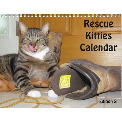 Rescue Cats 2027 Calendar