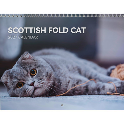 Scottish Fold Cats 2027 Wall Calendar