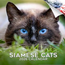 Siamese Cats 2026 Wall Calendar