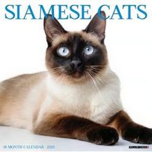 Siamese Cats 2026 Wall Calendar