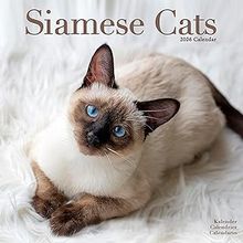 Siamese Cats 2026 Wall Calendar