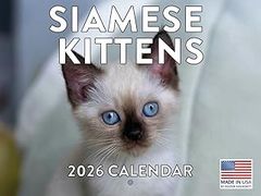 Siamese Cats 2026 Wall Calendar