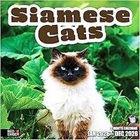 Siamese Cats 2026 Wall Calendar