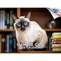 Siamese Cats 2026 Wall Calendar