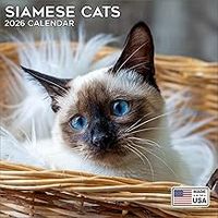 Siamese Cats 2026 Wall Calendar