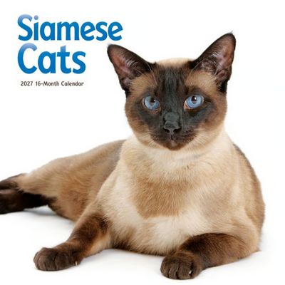Siamese Cats 2027 Wall Calendar