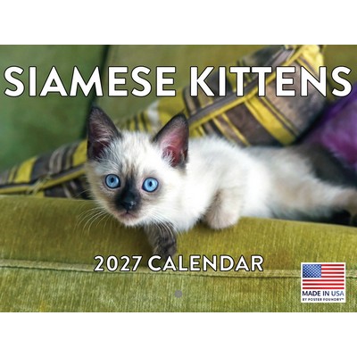 Siamese Kittens 2027 Wall Calendar