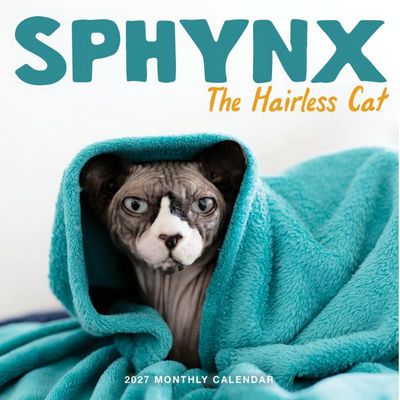Sphynx the Hairless Cat 2027 Wall Calendar