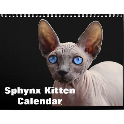 Sphynx Kitten 2027 Wall Calendar