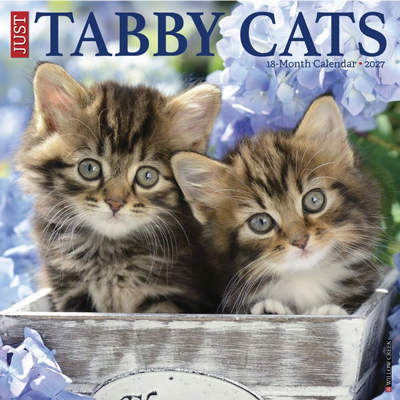 Tabby Cats 2027 Wall Calendar
