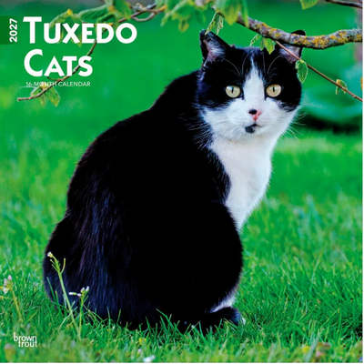 Tuxedo Cats 2027 Calendar