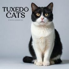 Tuxedo Cats 2026 Wall Calendar