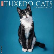 Tuxedo Cats 2026 Wall Calendar
