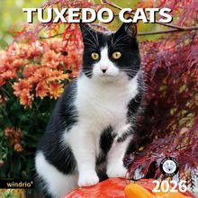 Tuxedo Cats 2026 Wall Calendar