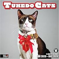 Tuxedo Cats 2026 Wall Calendar