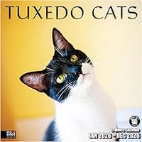 Tuxedo Cats 2026 Wall Calendar