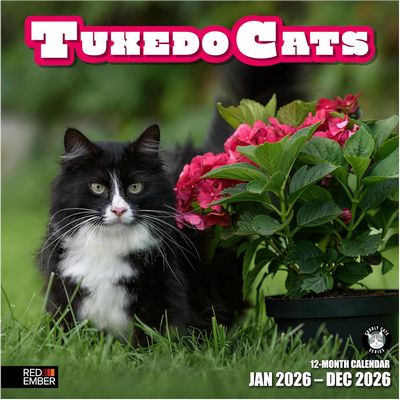 Tuxedo Cats 2026 Wall Calendar
